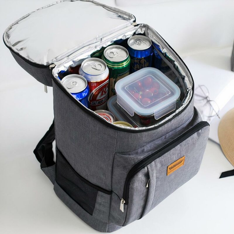 Borsa frigo