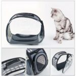 Cane gatto