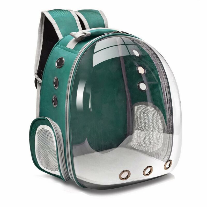 Zaino trasparente per piccoli animali domestici - Verde - Cane Gatto